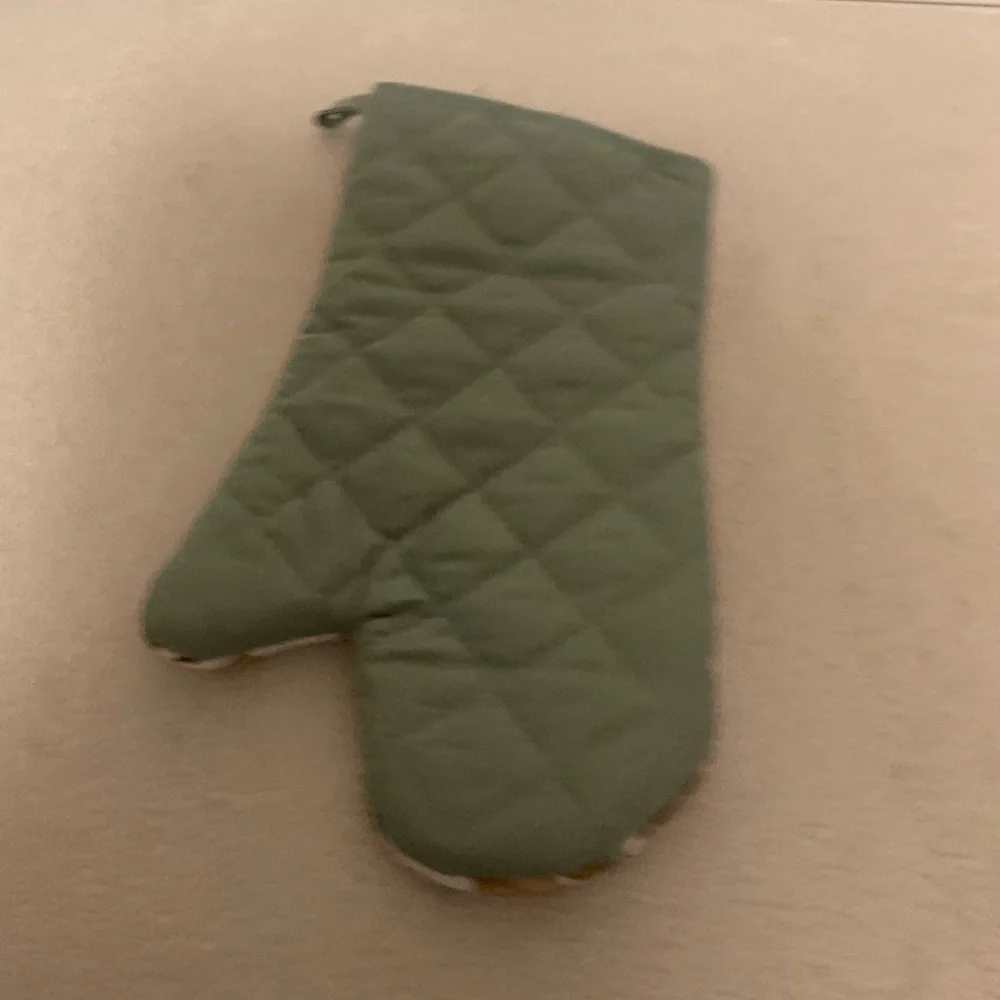 Home Collection oven mitt